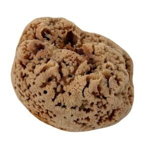 Natural Unbleached Sea Sponge 5" x 6" x 4"